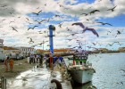 ¡Llega la pesca! ¡Llega la pesca!