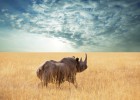 10 lugares imprescindibles de Namibia 10 lugares imprescindibles de Namibia