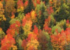 Diez paisajes fabulosos para el otoño Diez paisajes fabulosos para el otoño