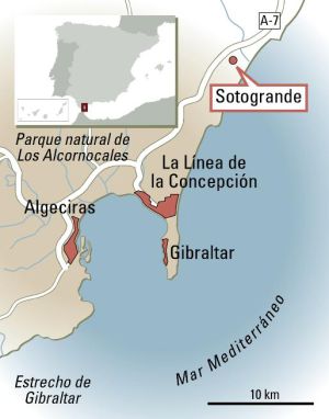 Cóctel de deportes y playa