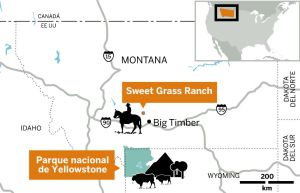 Vive tu propio wéstern en Montana