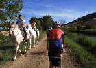 Cigales, una ruta del vino Cigales, una ruta del vino