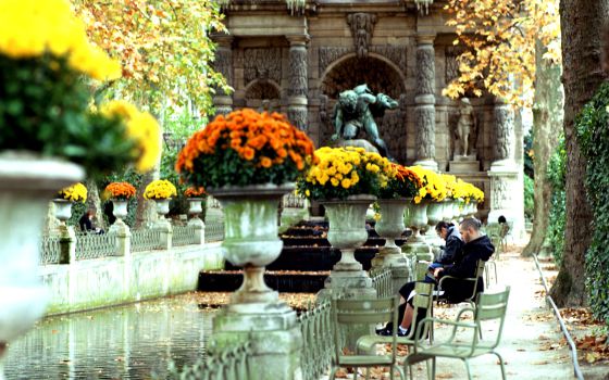 Sillas verdes en los Jardines de Luxemburgo, en París.