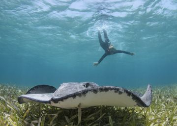 15 razones para viajar a Belice 15 razones para viajar a Belice