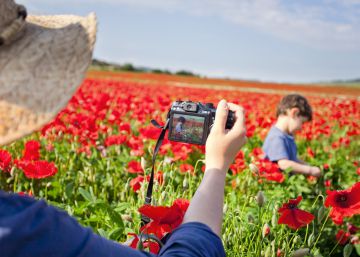 Las floraciones más espectaculares del mundo Las floraciones más espectaculares del mundo