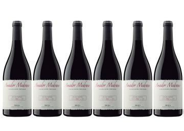 Amador Medrano Colección Privada 2014, fruta negra madura