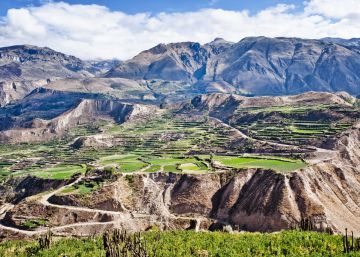Valle del Colca, en los dominios del cóndor Valle del Colca, en los dominios del cóndor