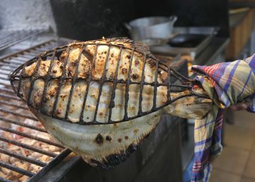 Asador Astillero, un festín de rodaballos salvajes Asador Astillero, un festín de rodaballos salvajes