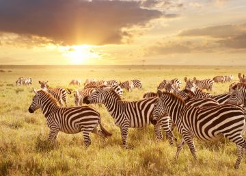 10 grandes viajes para hacer una vez en la vida 10 grandes viajes para hacer una vez en la vida