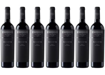 Apomonte 2008, un baño de autenticidad