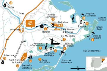 Por el Delta del Ebro en bici