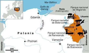 Polonia salvaje