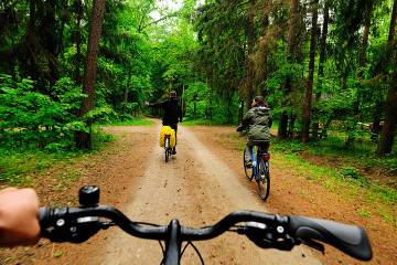 Ruta en bicicleta en el parque nacional de Bialowieski, en Polonia.