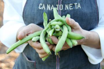 Habas de la huerta del restaurante mallorquín Ca Na Toneta, en Caimari.