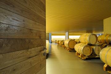 Bodegas Contador, en La Rioja.