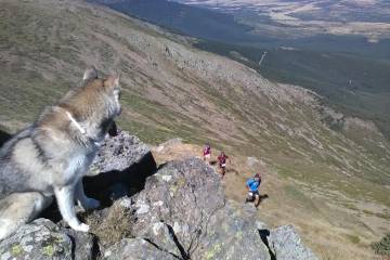 Participantes en el Maratón del Lobo 2016, en Segovia.