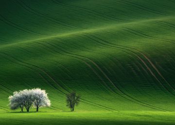 Moravia, en tierra de soñadores Moravia, en tierra de soñadores