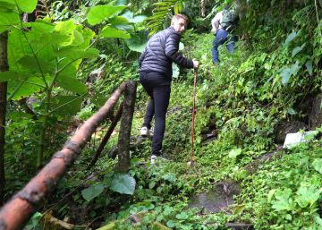 Un tesoro escondido en una selva mexicana Un tesoro escondido en una selva mexicana