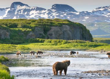 Diez viajes inolvidables en busca de animales salvajes (y plantas carnívoras) Diez viajes inolvidables en busca de animales salvajes (y plantas carnívoras)