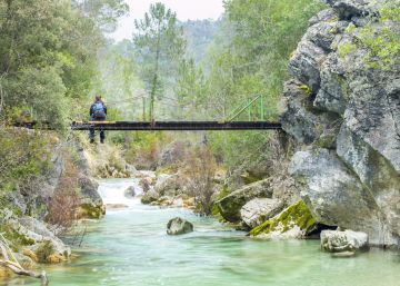 Camino al nacimiento del río Borosa Camino al nacimiento del río Borosa