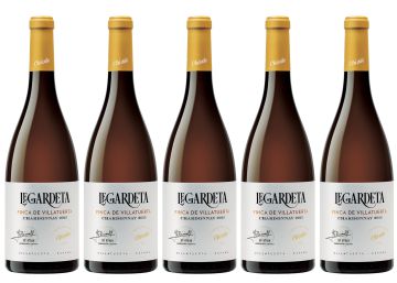 Legardeta 2015, enología de precisión Legardeta 2015, enología de precisión