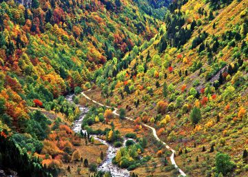 Diez superbosques para el otoño
