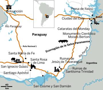 La fuerza salvaje del río Paraná