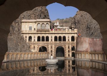 Monos humanos y divinos en Jaipur Monos humanos y divinos en Jaipur