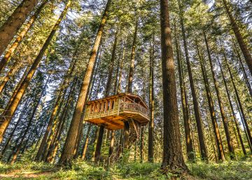 13 cabañas donde puedes pasar una noche en los árboles 13 cabañas donde puedes pasar una noche en los árboles