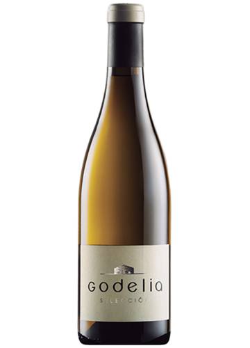 Los mejores vinos de diez enólogas españolas