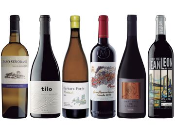 Los mejores vinos de diez enólogas españolas