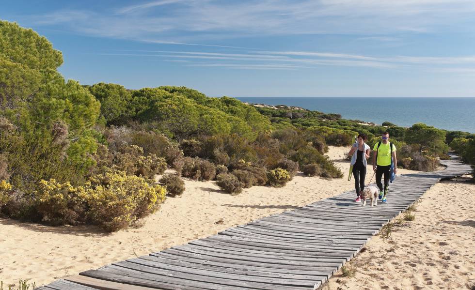 Pasarela del espacio natural de Doñana, en Almonte (Huelva).