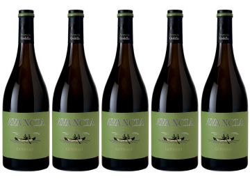 Avancia 2016, godella de Valdeorras
