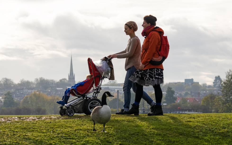 Las Wetlands de Walthamstow son una zona protegida de 211 hectáreas a la que llegan miles de aves migratorias, y en la que pasear, correr o ir en bici.