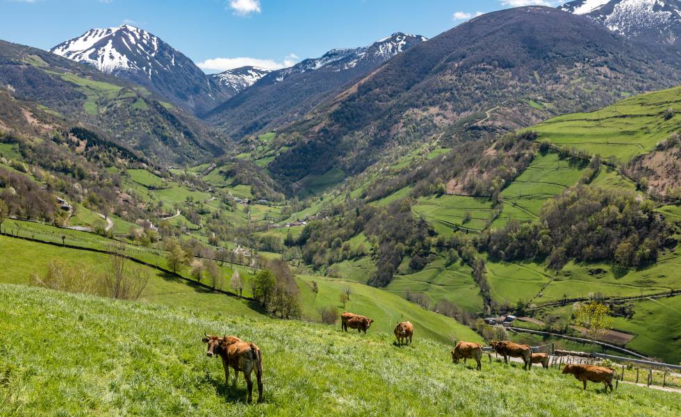 Valle de Leitariegos, en Asturias.