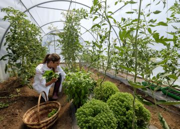 10 restaurantes españoles que cultivan su propio huerto 10 restaurantes españoles que cultivan su propio huerto