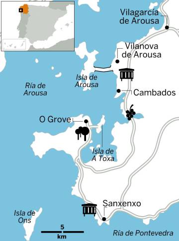 O Salnés: playas, vino y mejillones para un verano gallego