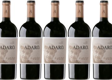 Adaro de Pradorey 2015: historia vegetal Adaro de Pradorey 2015: historia vegetal