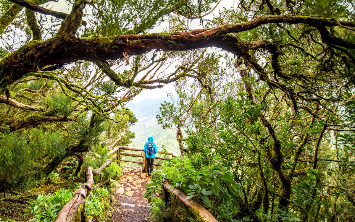 De La Gomera a Berlín, 25 viajes para estrenar el otoño