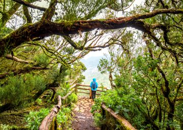 De La Gomera a Berlín, 25 viajes para estrenar el otoño De La Gomera a Berlín, 25 viajes para estrenar el otoño