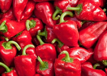 Pimientos, balnearios y otros placeres de otoño en la Ribera Navarra
