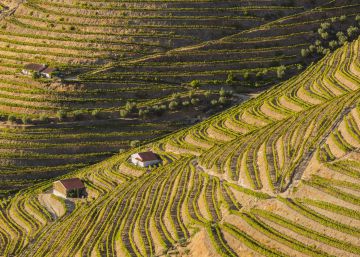 Ocho rutas para enamorarse de Portugal Ocho rutas para enamorarse de Portugal