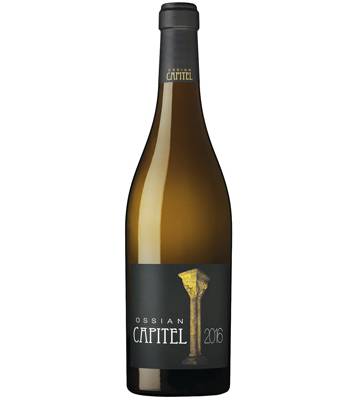 10 viñedos emblemáticos de España (y sus vinos )