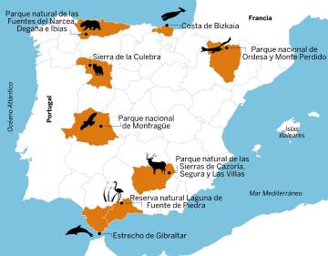 Ocho enclaves españoles para ver animales salvajes en su hábitat