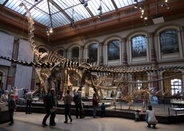 ‘Tristán’ el dinosaurio te saluda en Berlín ‘Tristán’ el dinosaurio te saluda en Berlín