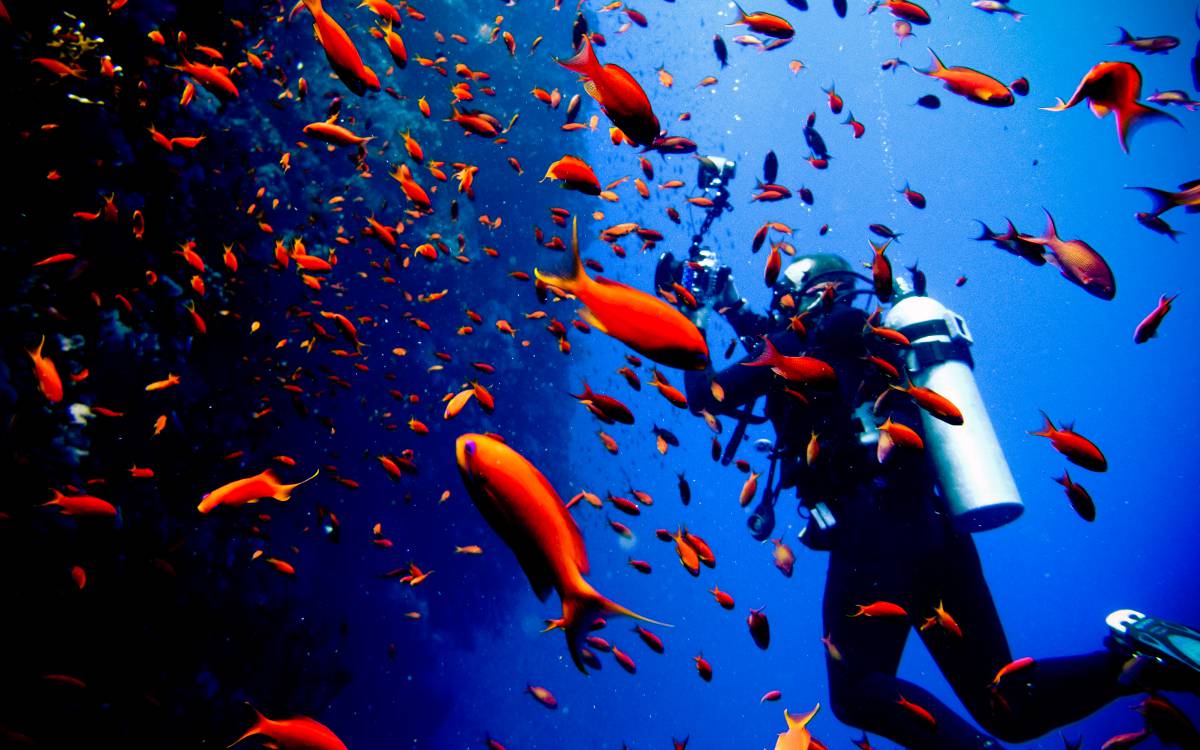 Los 10 destinos de buceo favoritos de Paco Nadal en el mundo