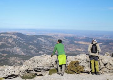 Bosques prehistóricos y pueblos blancos en la sierra de las Nieves