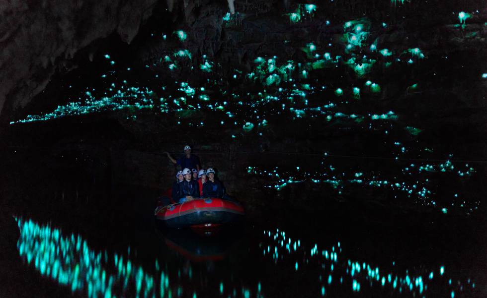 Travesía en barca en la cueva de Glowworm, en Waitomo (Nueva Zelanda).
