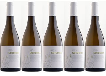 Mas de Sotorres 2016, garnacha blanca