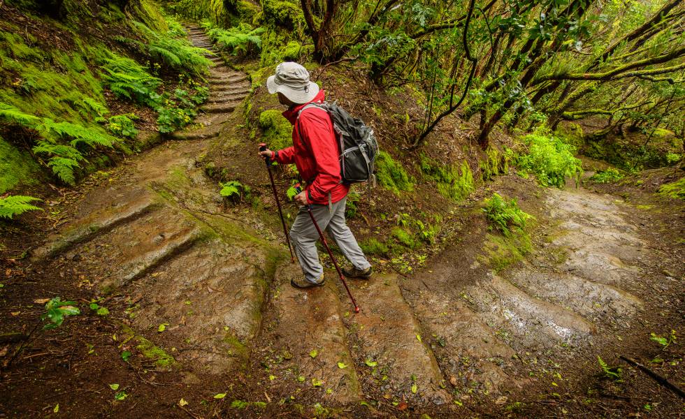 Una ruta senderista por el macizo de Anaga, en Tenerife.